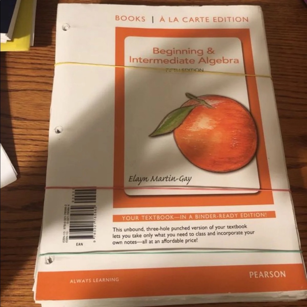 Beginning & Intermediate Algebra 5th ed